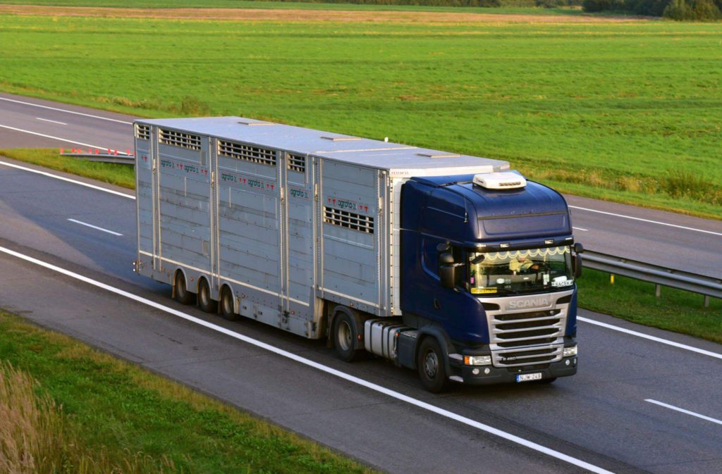 Affordable International Car Shipping Services - Tips and Tricks - illustration 1